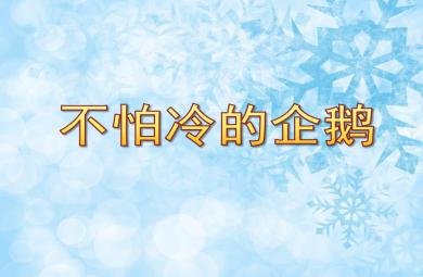 小班科學不怕冷的企鵝PPT課件
