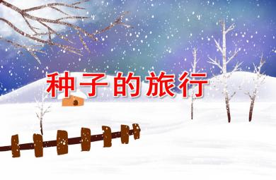 大班科學(xué)優(yōu)質(zhì)課種子的旅行PPT課件