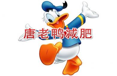 大班音樂欣賞唐老鴨減肥PPT課件音樂