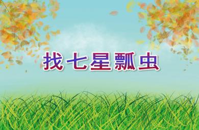 中班數學找七星瓢蟲PPT課件