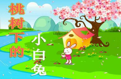 大班語言活動桃樹下的小白兔PPT課件