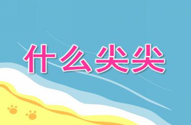 小班社會什么尖尖PPT課件