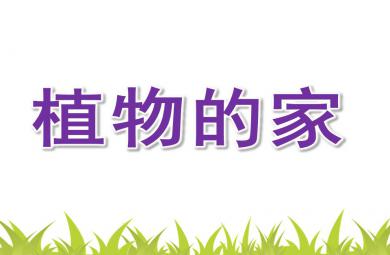 大班科學植物的家PPT課件