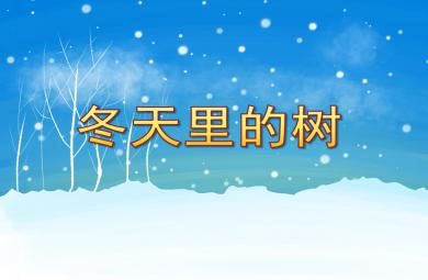 中班美術冬天里的樹PPT課件