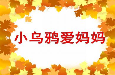 大班音樂小烏鴉愛媽媽PPT課件