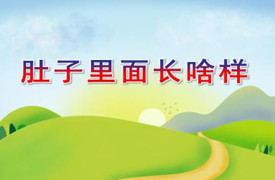 小班科學游戲肚子里面長啥樣PPT課件打印圖片