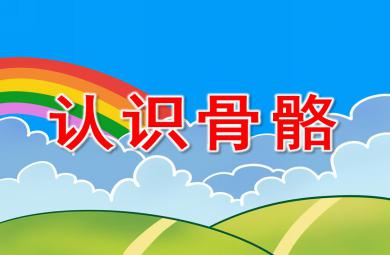 大班認識骨骼PPT課件