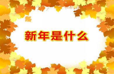 大班科學新年是什么PPT課件