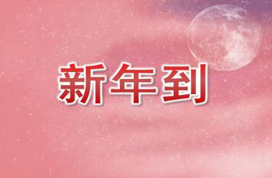 大班社會(huì)新年到PPT課件