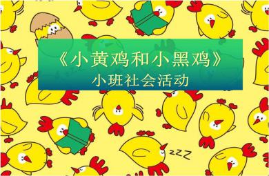 小班社會小黃雞和小黑雞PPT課件