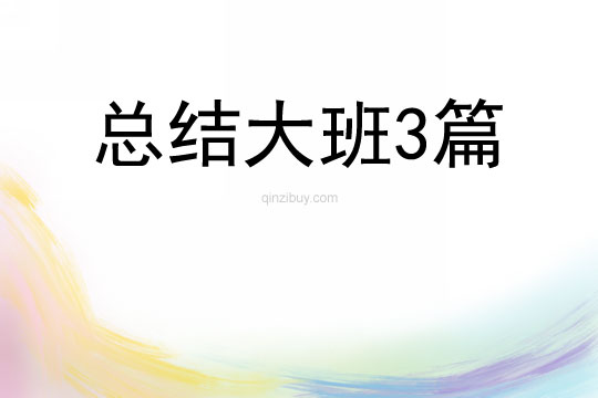總結大班3篇