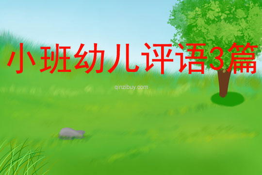 小班幼兒評(píng)語(yǔ)3篇