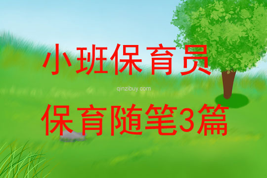 小班保育員保育隨筆3篇