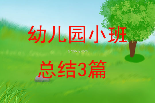 幼兒園小班總結3篇