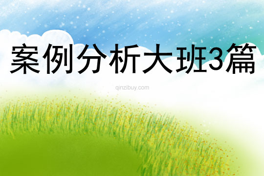 案例分析大班3篇