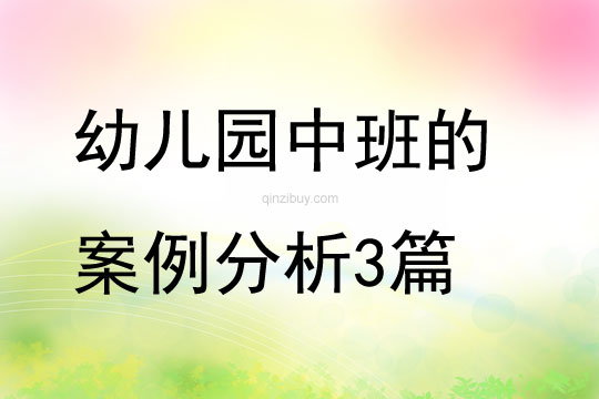 幼兒園中班的案例分析3篇