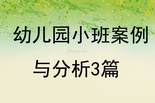幼兒園小班案例與分析3篇