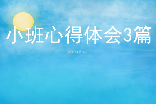小班心得體會3篇