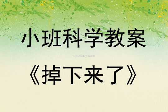 小班科學案例掉下來了教案