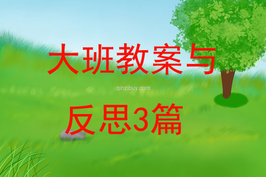 大班教案與反思3篇