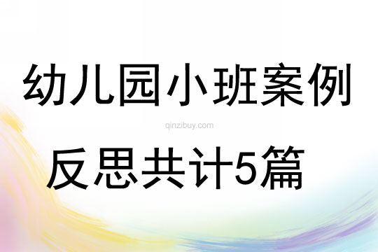 幼兒園小班案例反思共計5篇