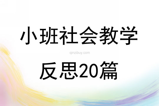 小班社會(huì)教學(xué)反思20篇