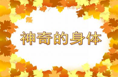 大班健康神奇的身體PPT課件