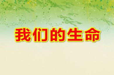 大班健康我們的生命PPT課件