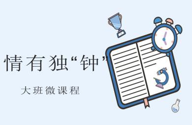 幼兒園微課程班本課程大班認(rèn)識鐘表PPT課件