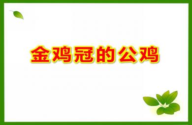 大班語言金雞冠的公雞PPT課件