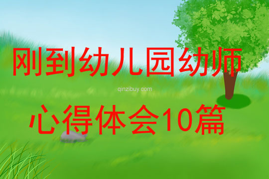 剛到幼兒園幼師心得體會10篇