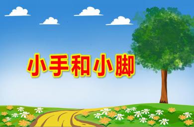 小班體育小手和小腳PPT課件