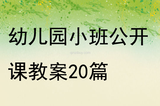 幼兒園小班公開課教案20篇