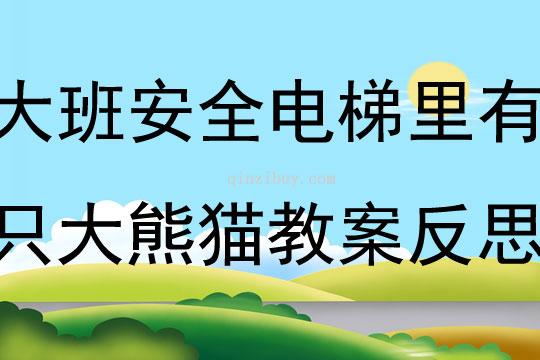 大班第一學期安全電梯里有只大熊貓教案反思