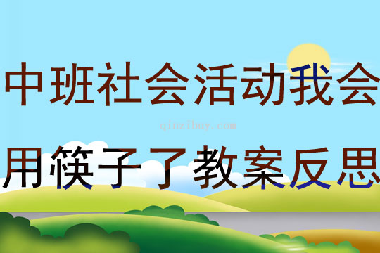 中班社會活動我會用筷子了教案反思