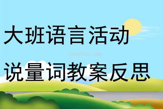 大班語言活動說量詞教案反思