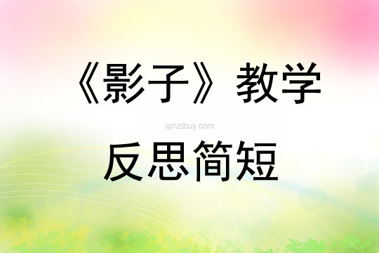 《影子》教學反思簡短