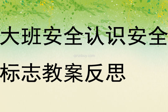 大班安全認識安全標志教案反思