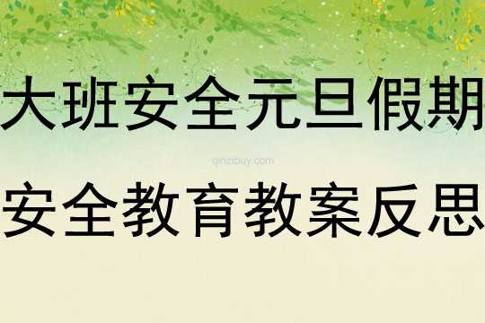 大班安全元旦假期安全教育教案反思