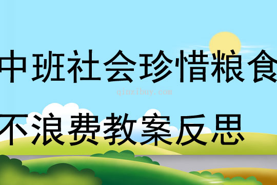 中班社會珍惜糧食不浪費教案反思