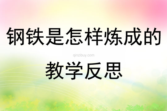 鋼鐵是怎樣煉成的教學反思