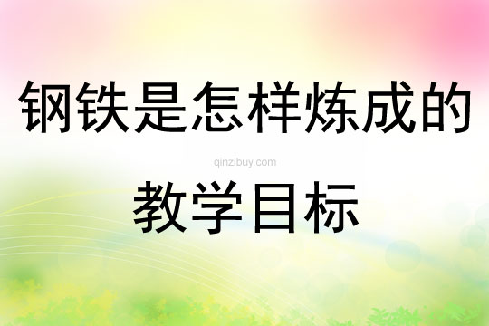 鋼鐵是怎樣煉成的教學目標