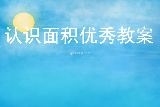 認識面積優秀教案