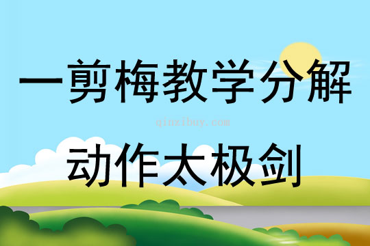 一剪梅教學(xué)分解動作太極劍