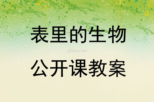 表里的生物公開課教案