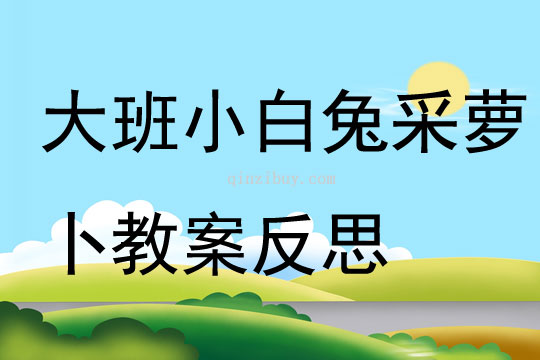 大班健康小白兔采蘿卜教案反思