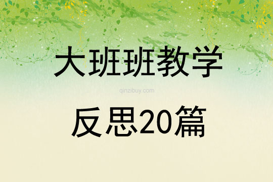 大班班教學反思20篇