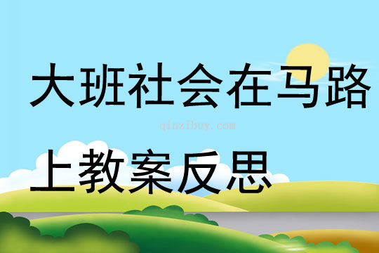 大班社會在馬路上教案反思