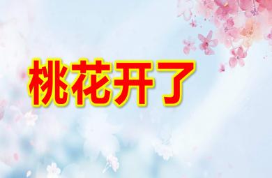 中班美術桃花開了PPT課件教案