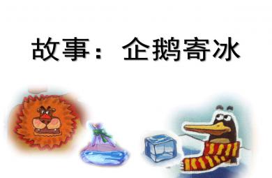 中班故事企鵝寄冰PPT課件教案